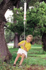 spring disc swing