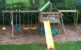 Swingset with Monkey Bars